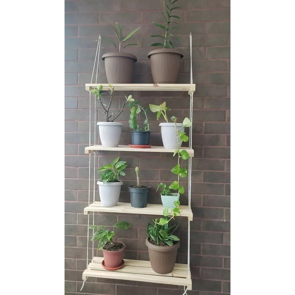 Prateleira Para Suculentas E Cactos Vasos de Flores Madeira ripada