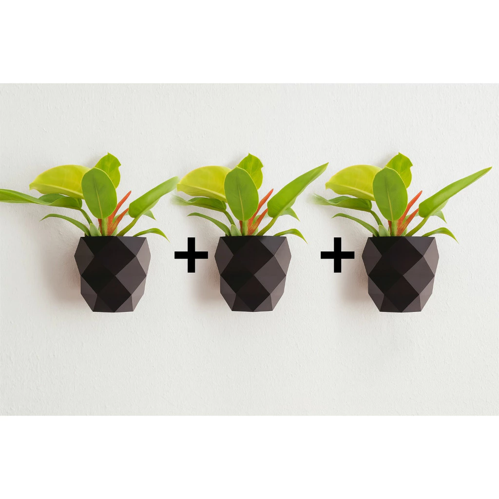 Conjunto 3 Vasinho de Parede Automatico Irrigador